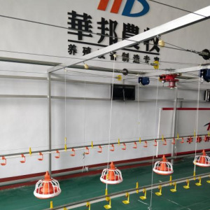 Оборудование для пола для бройлеров1