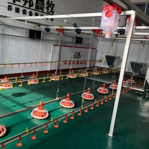 Оборудование для пола для бройлеров2