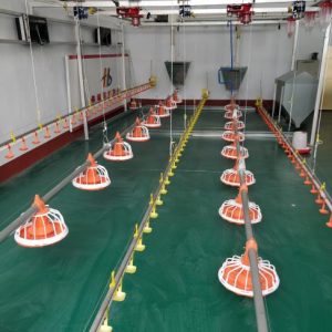 Оборудование для пола для бройлеров3