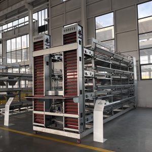 Клетка для несушек (4)