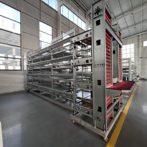 Клетка для несушек (5)