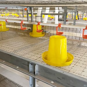 Automatic Chicken Broiler Cage (4)
