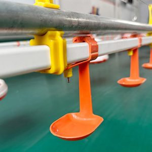 Automatic Nipple Drinking System (1)