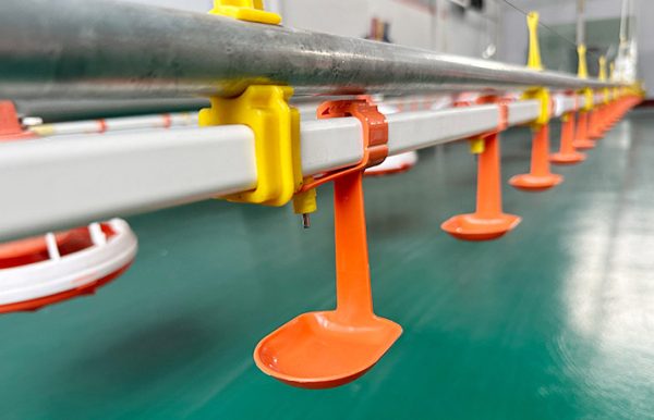 Automatic Nipple Drinking System (1)