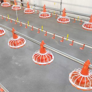 Automatic Pan Feeding System (4)