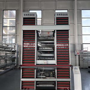 Broiler Chicken Cage (1)