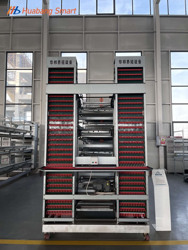 Broiler Chicken Cage (1)