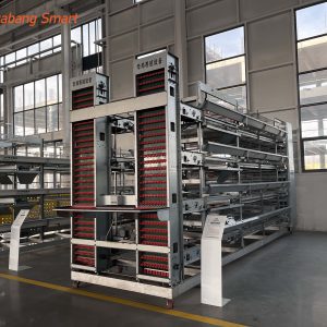 Broiler Chicken Cage (4)