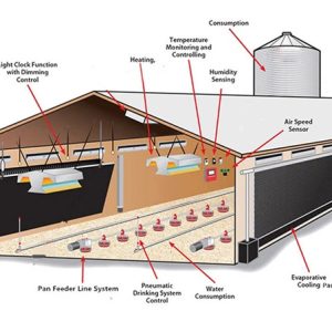 Broiler Floor Equipment (1)