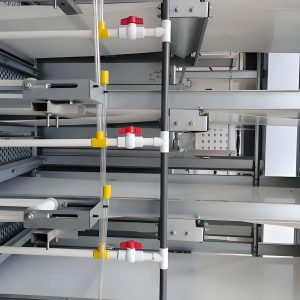 Broiler Chicken Cage (10)