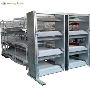 Broiler Chicken Cage (28)