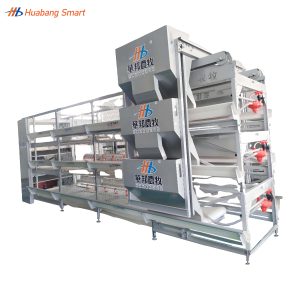 Broiler Chicken Cage (41)