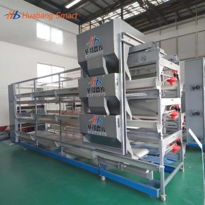 Broiler Chicken Cage (60)