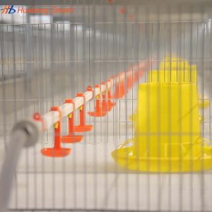 Broiler Chicken Cage (63)