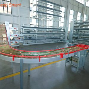 Egg collection system (14)