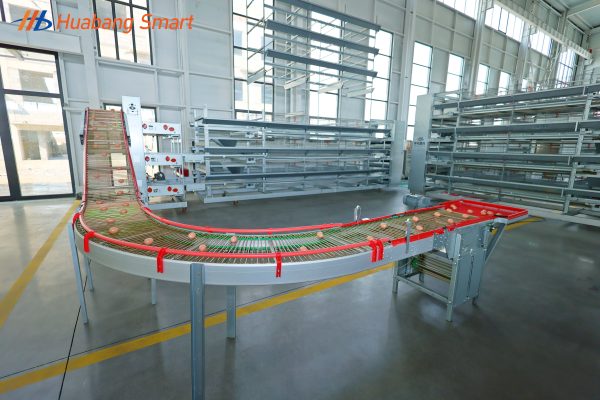 Egg collection system (14)