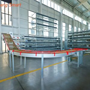 Egg collection system (3)