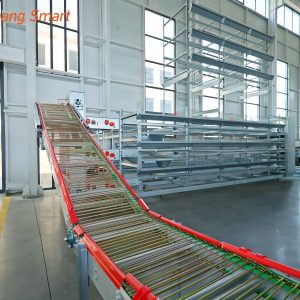 Egg collection system (4)