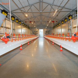 Free-range Chicken Coop Model Room (29)