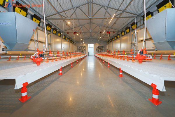 Free-range Chicken Coop Model Room (29)