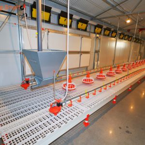 Free-range Chicken Coop Model Room (31)