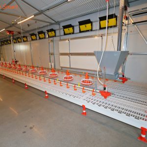 Free-range Chicken Coop Model Room (32)