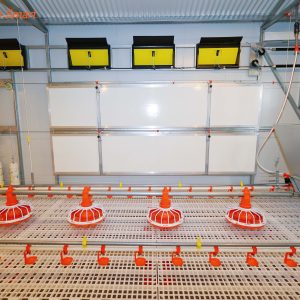 Free-range Chicken Coop Model Room (34)